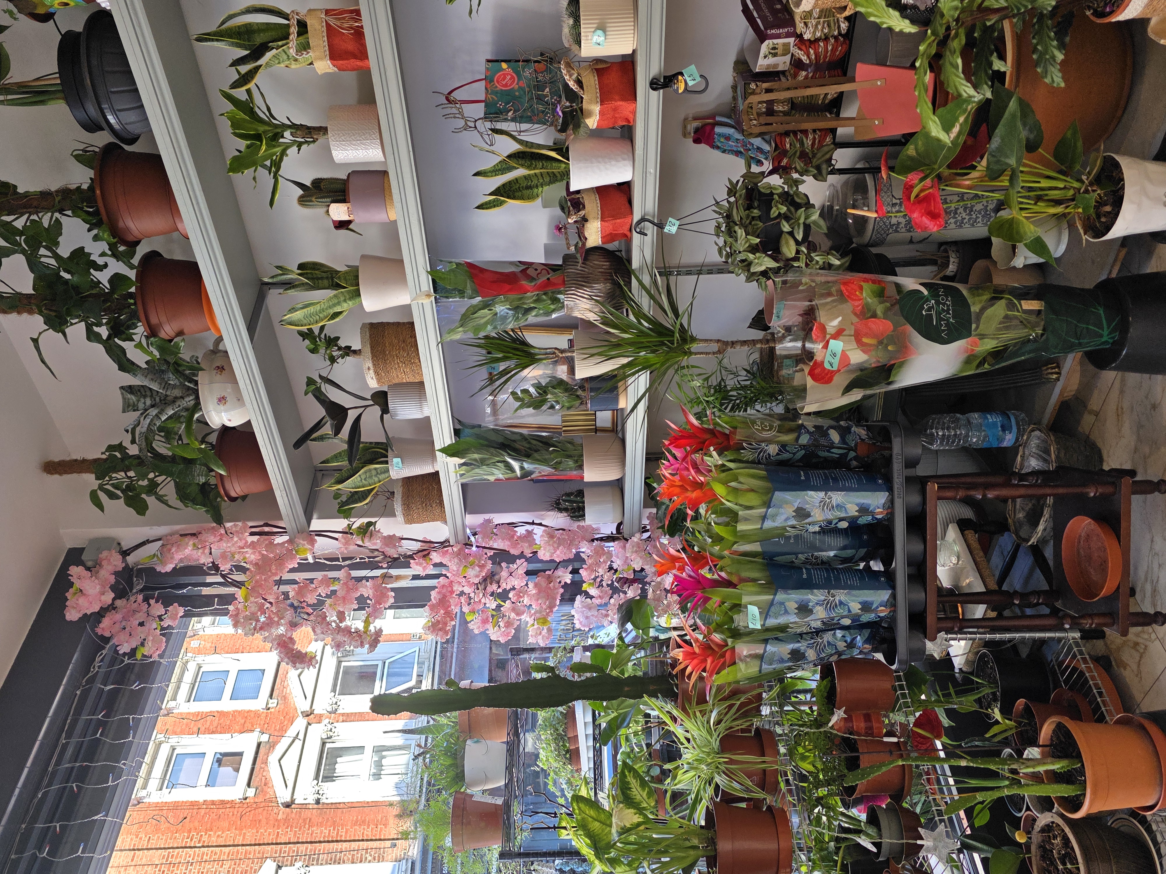 Clean contemporary interior